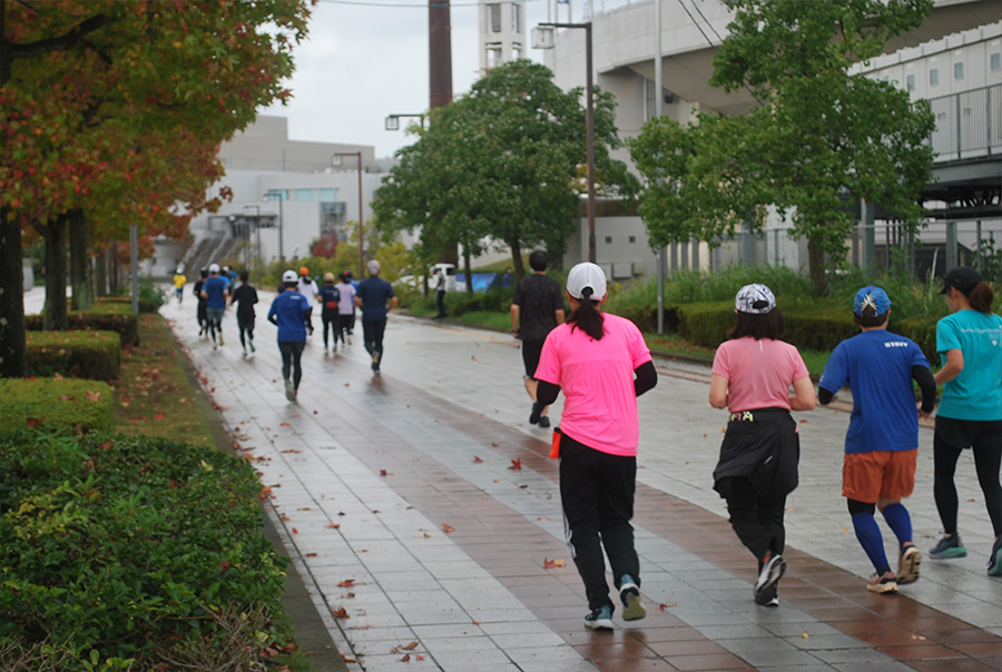 11月2日（土） ① 初級コースの様子 5